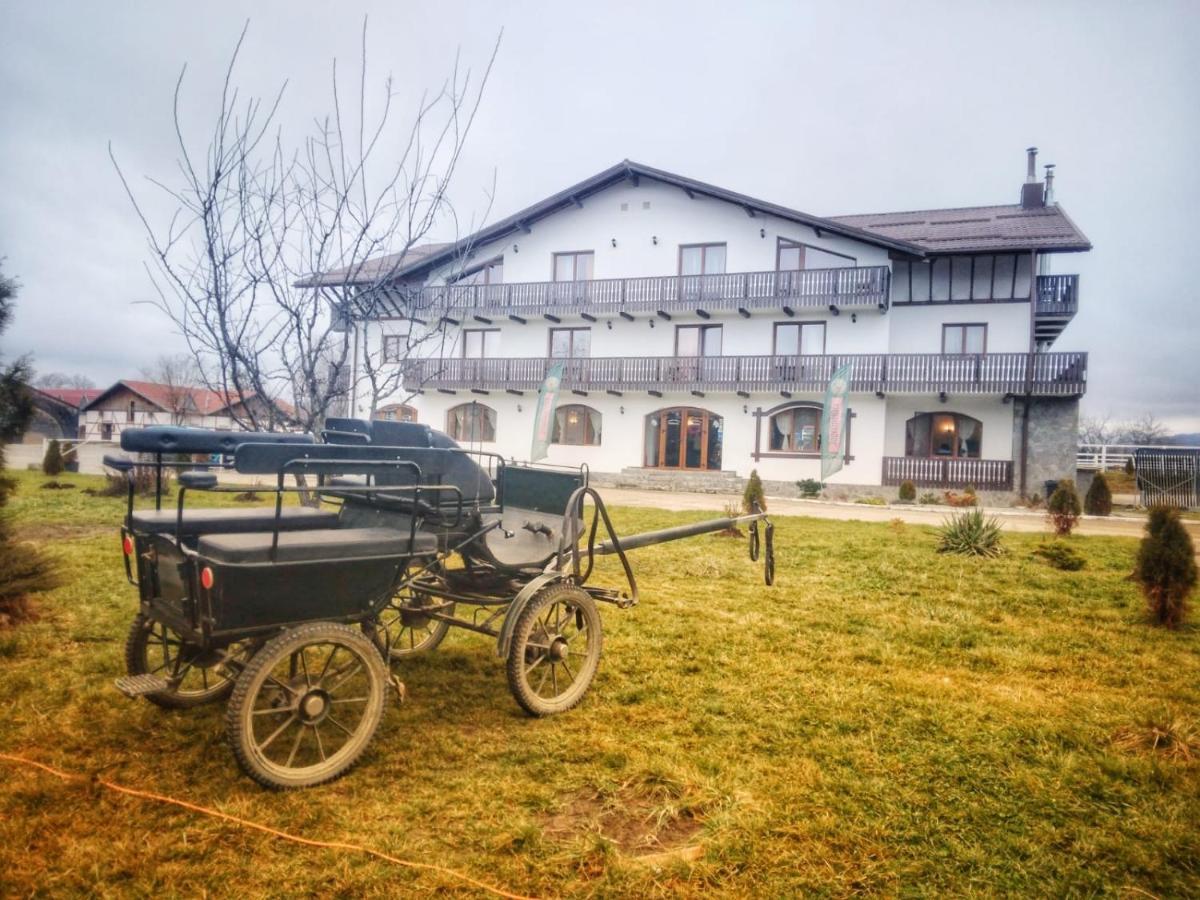 Complex Panicel Rîşnov Esterno foto